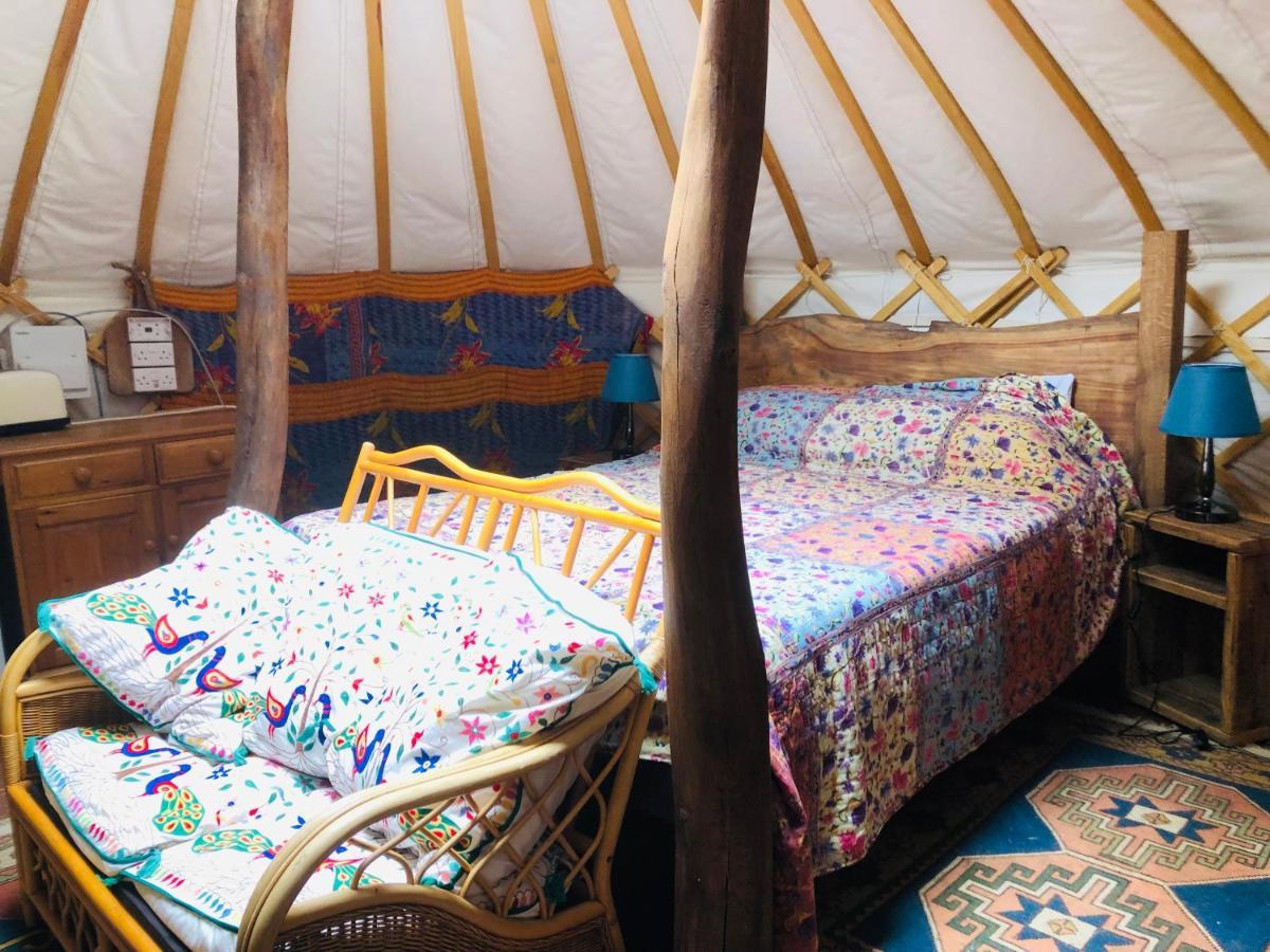 Cotswolds Camping At Holycombe 希普顿斯图尔 外观 照片