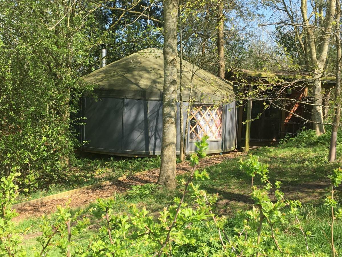 Cotswolds Camping At Holycombe 希普顿斯图尔 外观 照片