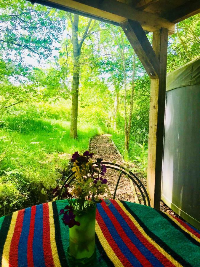 Cotswolds Camping At Holycombe 希普顿斯图尔 外观 照片